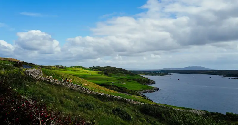 Beautiful view of lush green hills and blue sea under a bright sky, offering a serene coastal landscape.